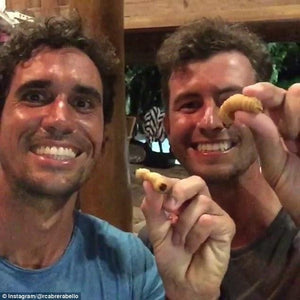 Adam Scott Eats Bugs